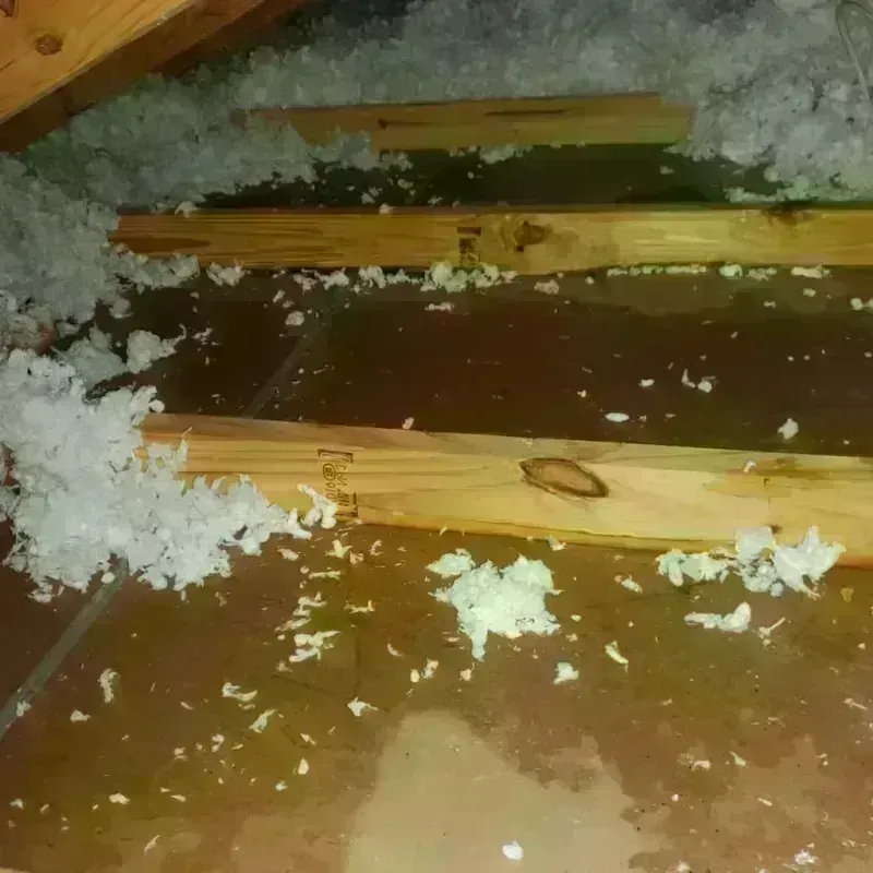 Attic Water Damage in Okanogan, WA