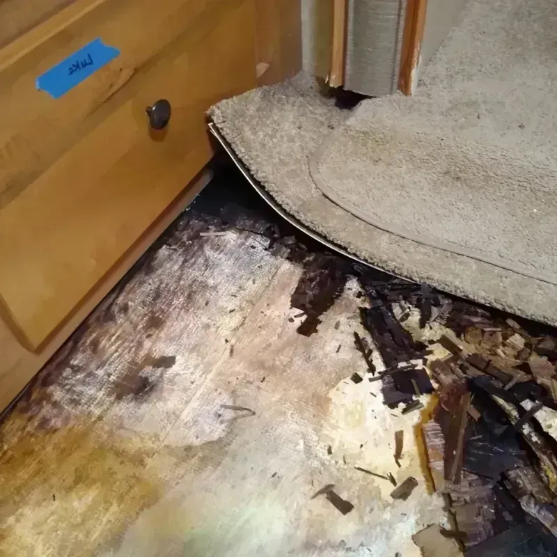 Wood Floor Water Damage in Okanogan, WA